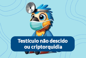 criptorquidia - Testículo não descido