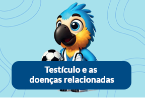 Testículos e as doenças relacionadas